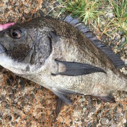 釣りキャンプ~長崎南部方面~