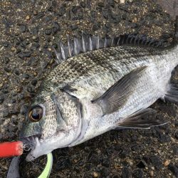 荒れる波間でHAPPY RIDE ON!