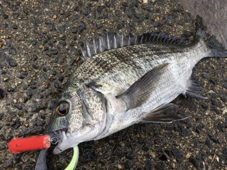 荒れる波間でHAPPY RIDE ON!