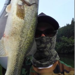 ライブスコープの釣り