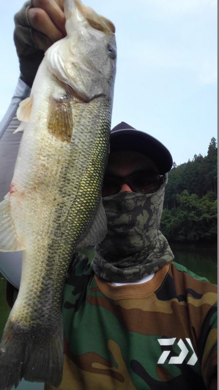 ライブスコープの釣り