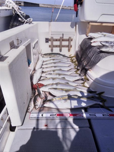 遊漁船SOUTH8/1釣果