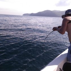 遊漁船SOUTH 8/28釣果