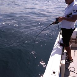 遊漁船SOUTH 8/30釣果