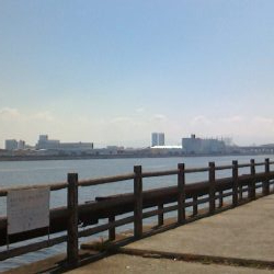 タコ成長しないのか