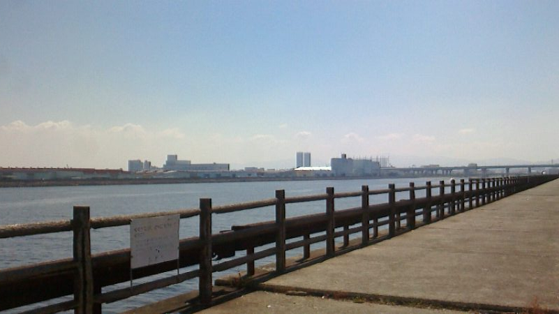 タコ成長しないのか