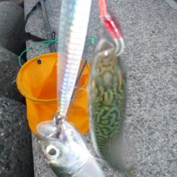 二日連続の釣行