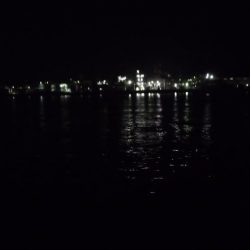 やっとタチシーズン