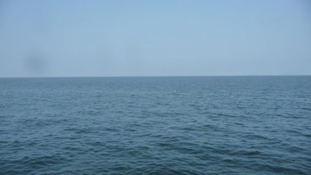 やっぱりちびタチ