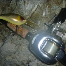 クランクベイトで