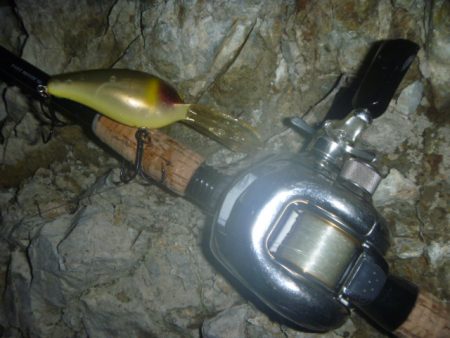 クランクベイトで