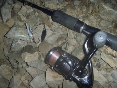 夕立スピナーベイト