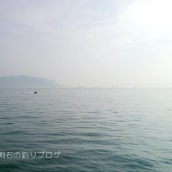 夏のチヌ釣り
