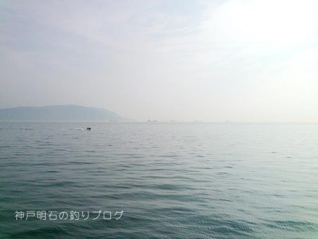 夏のチヌ釣り