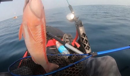 カヤックコラボｗオジサンにホウボウｗガラカ…