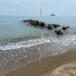 鳥取サーフでキス釣り(2020-2)