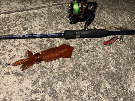 瀬戸内の島ケンサキイカエギング(2020-1)