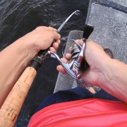 最後の30分で連発！