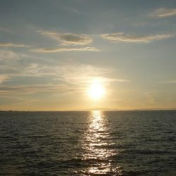 人が多い人工島