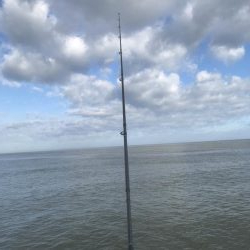 人生初太刀魚でした!