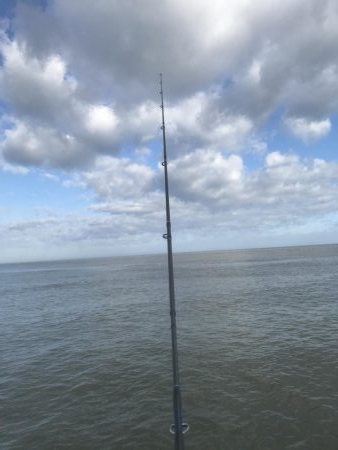 人生初太刀魚でした!