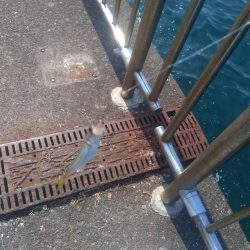 トリックサビキ