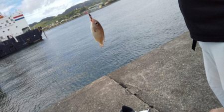 暑さも釣果も厳し目