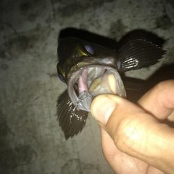 8月7日神戸空港