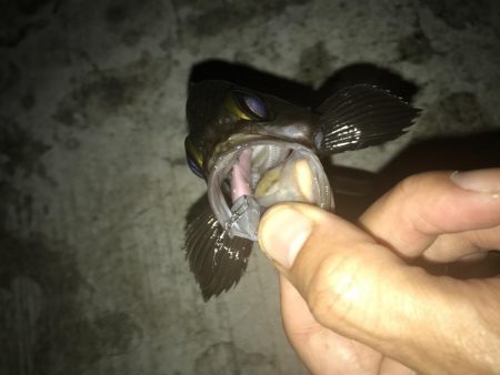 8月7日神戸空港