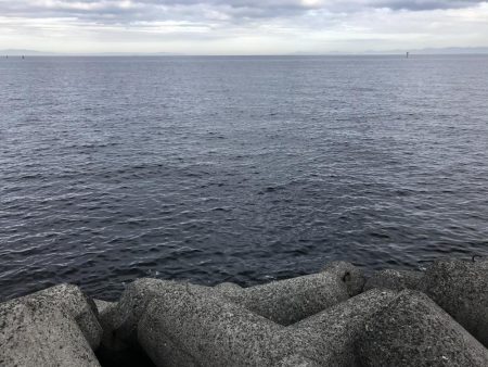 ハマチリベ達もノータチウオノーライフ