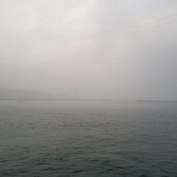 エギング 高知 福島港え