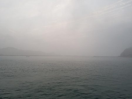 エギング 高知 福島港え