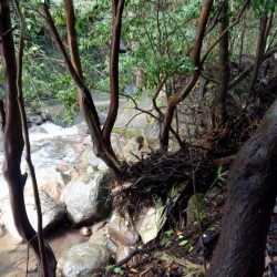 おじさん二人で