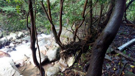 おじさん二人で