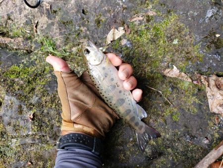 泣き尺( ノД`)…