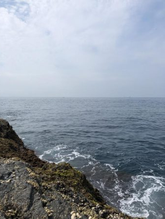 フカセ2回目‼︎