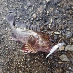 武庫一でライトワインド!