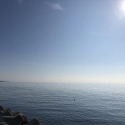 今年初タチウオ