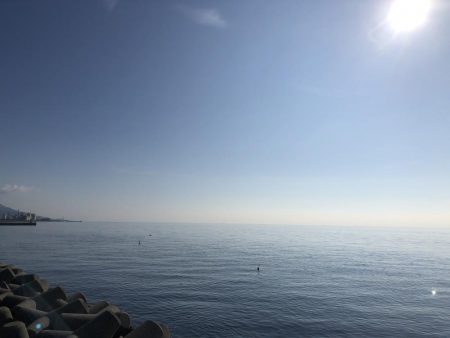 今年初タチウオ