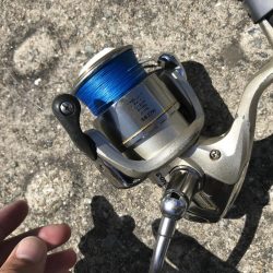 8月11日神戸空港青物