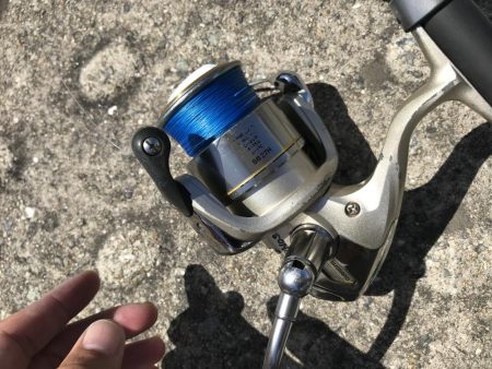 8月11日神戸空港青物