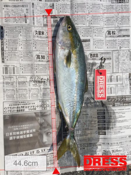 ２週間ぶりのツバス