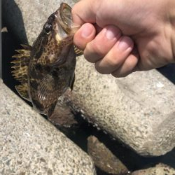 がしらとたけのこ