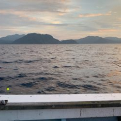 夕方SLJ ＆オキアミエサ釣り