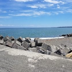 今日は娘と、でも釣果は残念