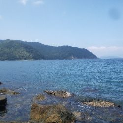 何とかキャッチ出来ました