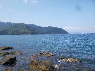 何とかキャッチ出来ました