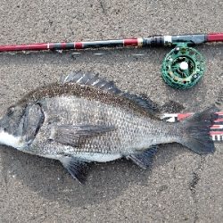 ぬめ~と年無しゲット!