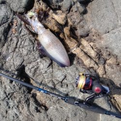 ニューロッドに墨付け完了!