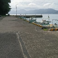 カマス真っ昼間に爆釣